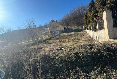 Spațiu comercial, în Centura - 2