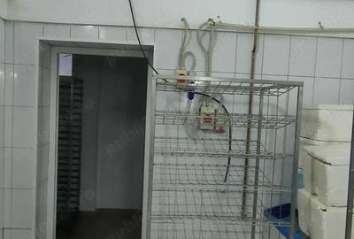 Spatiu Brutarie -Patiserie Central Timi?oara de vanzare - 19