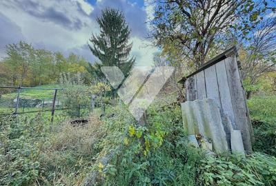 Casa 3 camere, 432 mp teren - Cisnadioara - 5