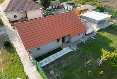 Casă individuală cu 3 camere cu Teren 1438 Mp în Turnu - 17