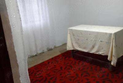 Casă cu 4 camere în Malu (Godeni) - 4