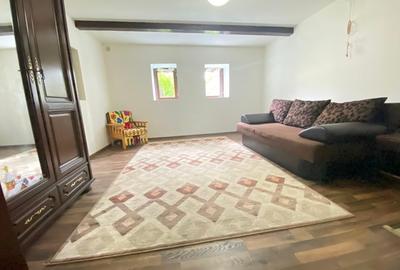 Casa de vacanta in Baiut - 4