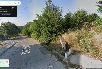 Teren de 10000 mp, în Gura Văii - 3