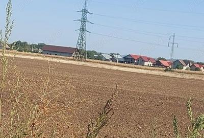 Teren de 8400 mp, în Central - 5