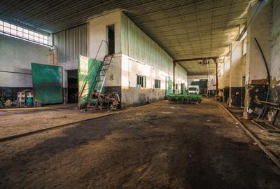 Inchiriere hala pentru depozitare sau productie  – Poarta Alba - 5