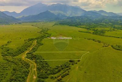 Teren de 10800 mp, în Râșnov - 2