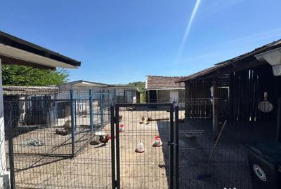Casă cu 3 camere cu Teren 3855 Mp în Central - 3