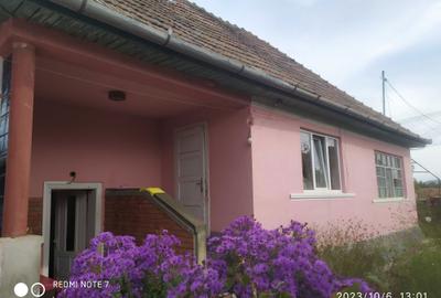 Casă cu 3 camere decomandat în Unirea - 6