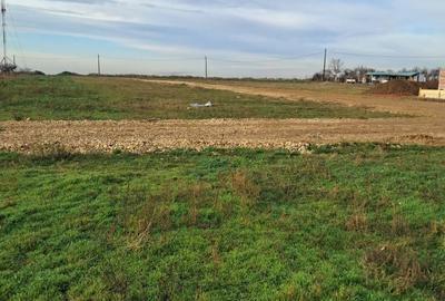 Teren de 2367 mp, în Nojorid - 5