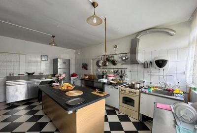 Casa P + M 369 mp utili, teren 1.515 mp, foi?or, Leamna de - 12