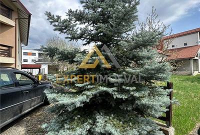 Casă cu 7 camere cu Teren 1100 Mp în Valea Borcutului - 6