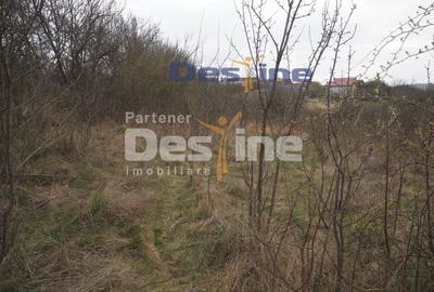 Casă individuală cu 2 camere cu Teren 6700 Mp în Dej - 5