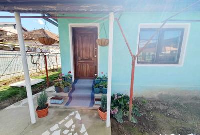 Casă cu 3 camere cu Canalizare în Primăverii - 4