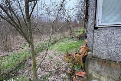 Teren de 2038 mp, în Ghercești - 13