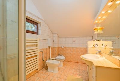 Vila Iancu Nicolae – intre Gradina Zoo si Jolie Ville | Liniste, spatiu si confo - 10