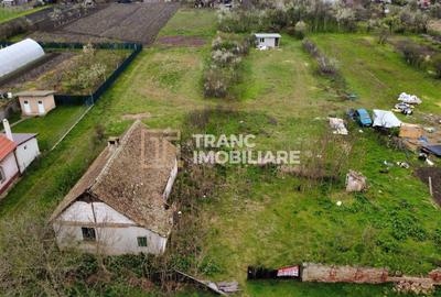 Teren intravilan de 3593 mp, în Parța - 5