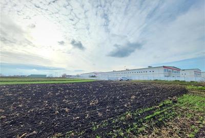 Vanzare Teren pretabil constructie hale, 28.100 mp, Halchiu - 5