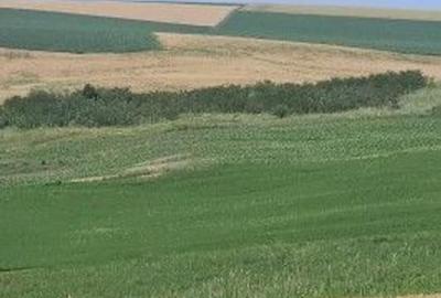 Teren Extravilan Aroneanu, ID: R2577828 - 3