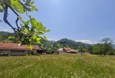 Teren de 2327 mp, în Moieciu - 11