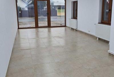 Spațiu comercial, de 52 mp, în Crevedia