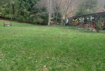 CASA DE VACAN?A 5 CAMERE,POINANA MARULUI, JUD.CARA?-... CASA DE VACAN?A 5 CAMERE,POINANA MARULUI, JUD.CARA?-... - 5