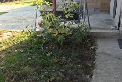 Casă cu 4 camere cu Teren 1000 Mp în Central - 6