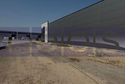HALE INDUSTRIALE PREMIUM DE ÎNCHIRIAT CU TEMPERATURĂ CONTROLATĂ | MOGOȘOAIA - 15