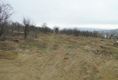 Teren de 670 mp, în Bucium - 2
