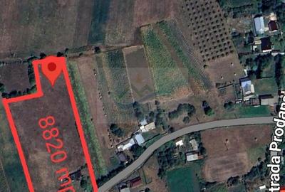 Spațiu comercial, în Oglinzi