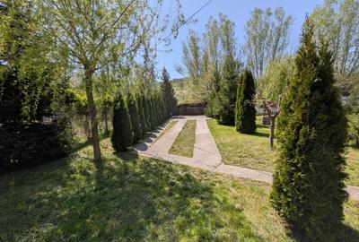 Casă individuală cu 3 camere cu Teren 6500 Mp în Moșna - 7