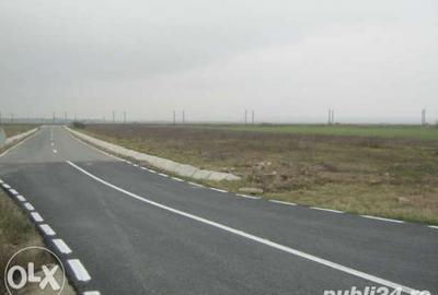 Teren de 15000 mp, în Tișița - 5