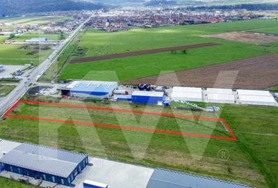 Oportunitate de Investitie sau Constructie Hala – Teren 3.900 mp | Talmaciu - 2