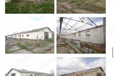 Inchiriez hale 7000 mp si teren intravilan 70000 mp - 4