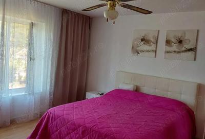 Casă cu Teren 2100 Mp în Chilioara - 5