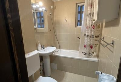 Apartament cu 2 camere semidecomandat, mobilat în Baba Novac - 5