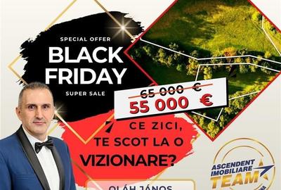 FILM! Teren extravilan, Ojdula, 4.800 mp, zona pitoreasca - 1