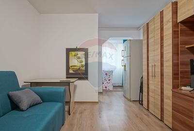 Apartament cu 1 camere de inchiriat in zona Bartolomeu - 5