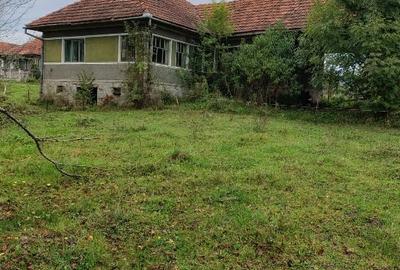 Casă individuală cu 3 camere cu Teren 18000 Mp în Vârfurile - 5