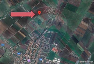 Teren 30.000 MP | Halchiu | Jud. Brasov - 2