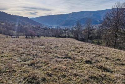 Teren intravilan de 3333 mp, în Rucăr - 1