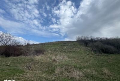 Spațiu comercial, în Central - 1