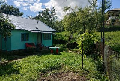 Casă în Aluniș - 3