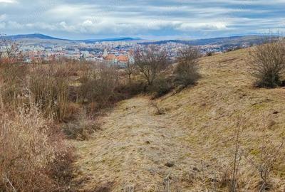 Teren de 28381 mp, în Central - 2