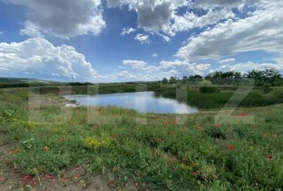 Teren de 10000 mp, în Șărmășag - 4