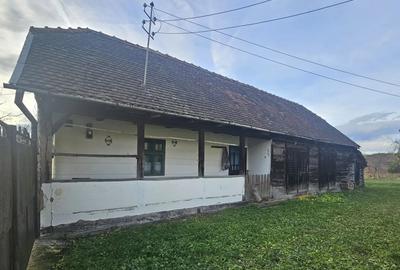 Casa de vanzare la ?ara - 4