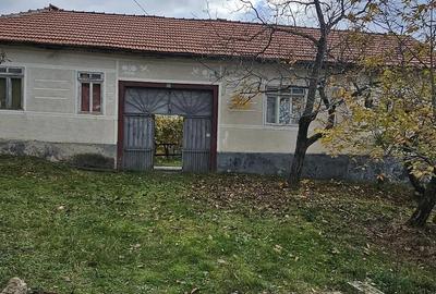 Casă cu 3 camere cu Teren 1349 Mp în Nădălbești - 4