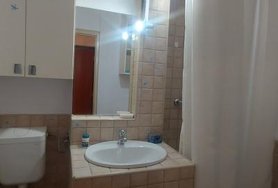 Panduri- garsoniera cocheta la cinci minute de metrou!! - 28