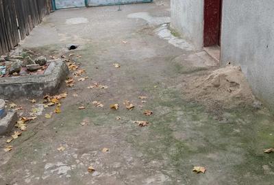 Casă cu 8 camere cu Teren 750 Mp în Central - 6