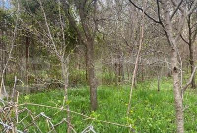 Teren 784 mp, Nistoresti, jud Prahova - 3