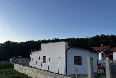 Casă cu 3 camere în Central - 4